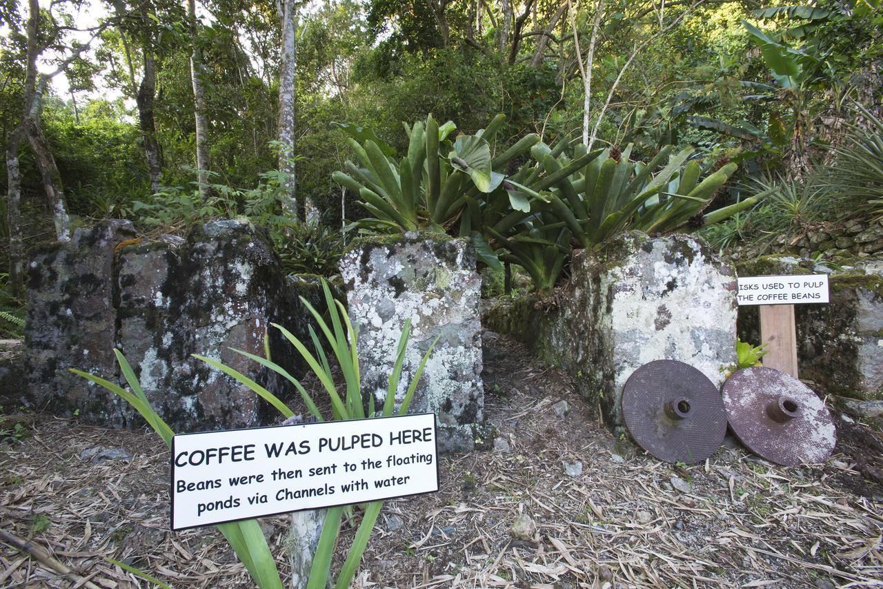 Barbecue Heritage Gardens Cottage - Jm نيوكاسل المظهر الخارجي الصورة