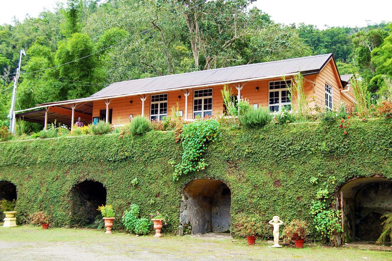 Barbecue Heritage Gardens Cottage - Jm نيوكاسل المظهر الخارجي الصورة