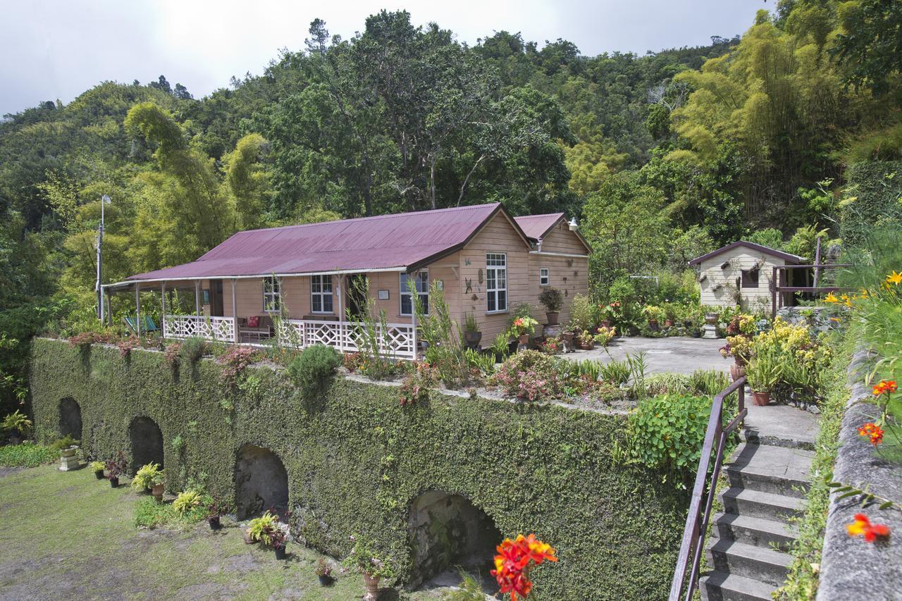 Barbecue Heritage Gardens Cottage - Jm نيوكاسل المظهر الخارجي الصورة