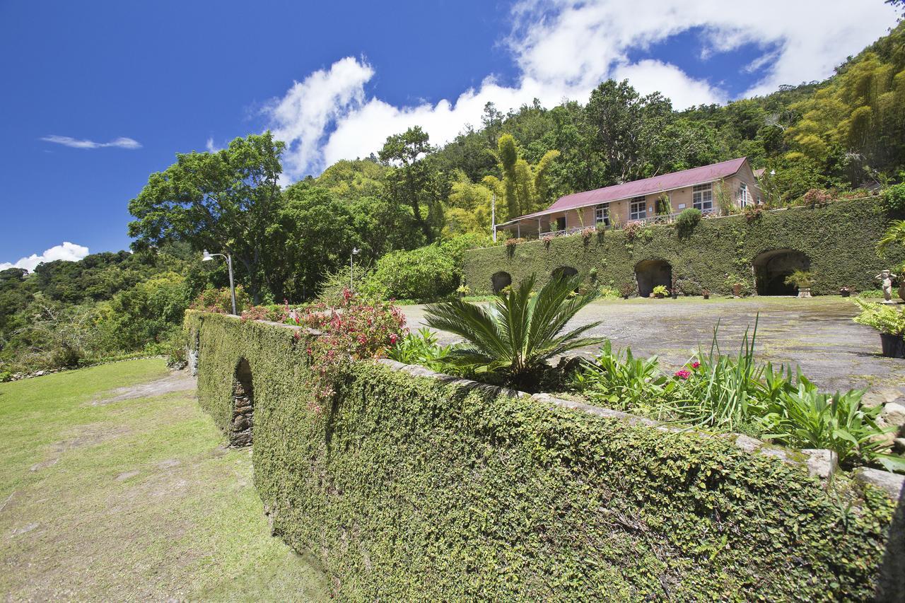 Barbecue Heritage Gardens Cottage - Jm نيوكاسل المظهر الخارجي الصورة